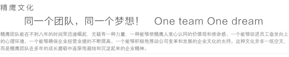 上海精鷹文化傳播有限公司