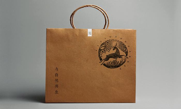 與自然共生--《藍(lán)月莊園》VIS設(shè)計(jì)
