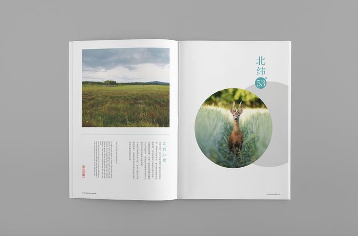 與自然共生--《藍(lán)月莊園》VIS設(shè)計(jì)