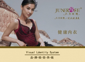 上海精鷹文化傳播有限公司