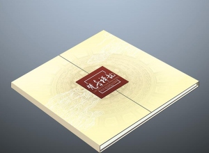 上海精鷹文化傳播有限公司